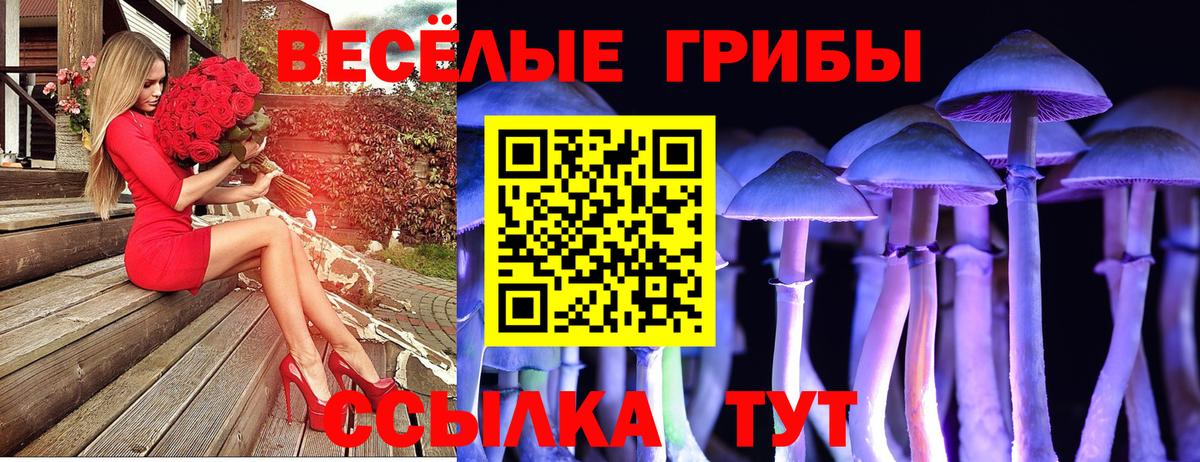 Галлюциногенные грибы Cubensis Янаул