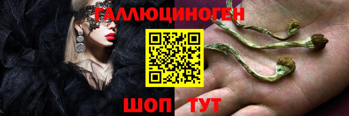 Янаул  Псилоцибиновые грибы Psilocybe  купить  сайты  Вход с VPN 